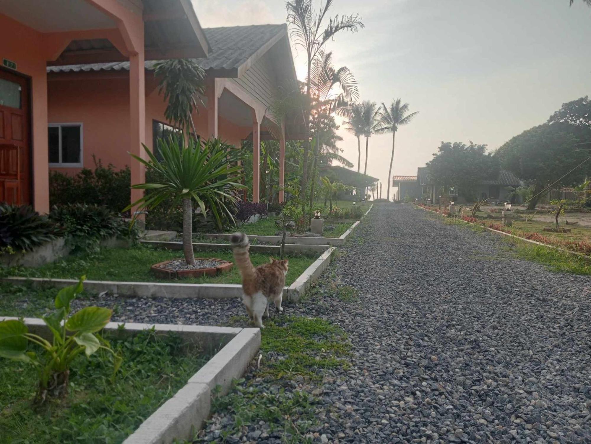 Scandinavian Beach Resort Ko Lanta Екстериор снимка